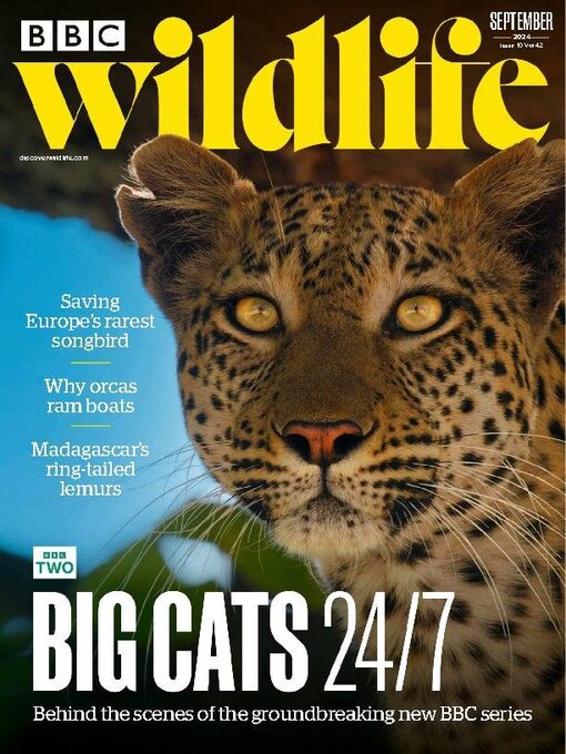 Upplýsingar um BBC Wildlife Magazine eftir Our Media Limited - Til útláns